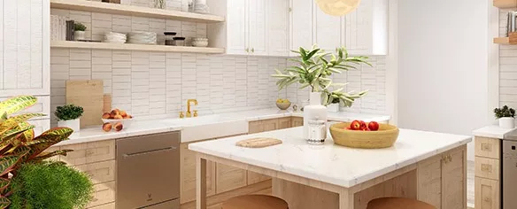 Bazar y Cocina